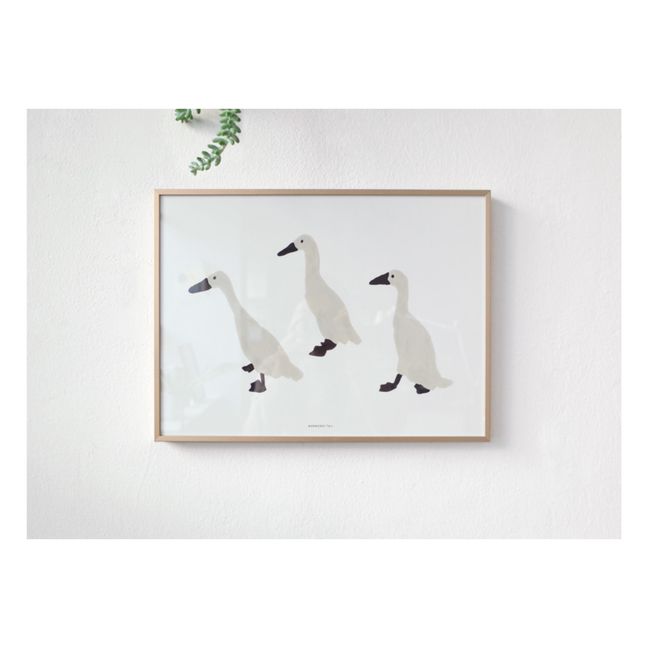 Indian Runner Duck Poster
