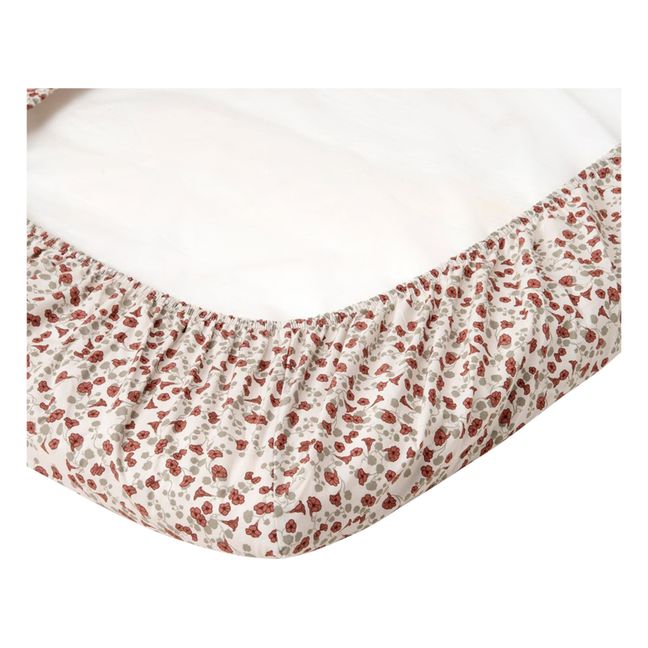 Royal Cress Cotton Percale Fitted Sheet Rot