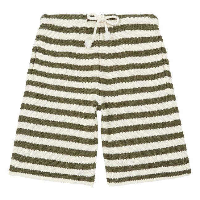 Striped Knit Shorts Green