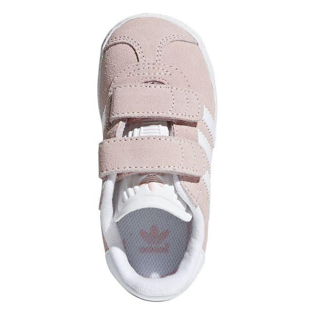 Gazelle  | Rosa