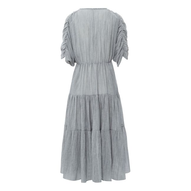 Celvia Striped Dress Grey blue