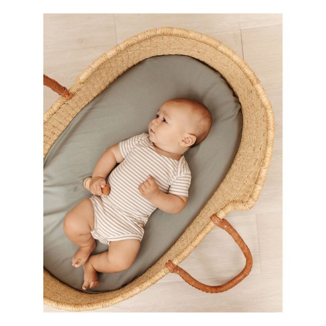 Organic Cotton Baby Bodysuits - Set of 2 Azul Gris