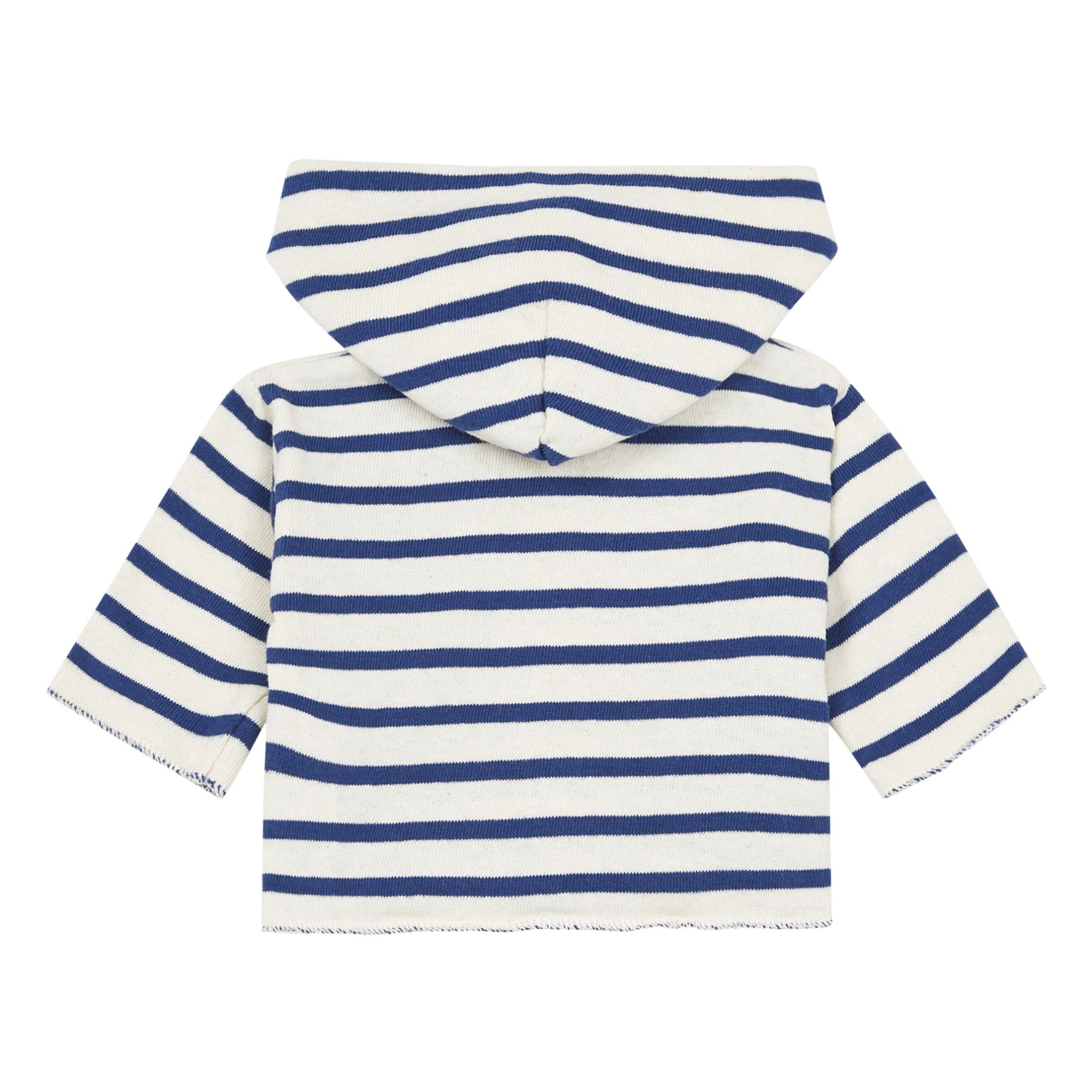 Striped Hoodie Navy blue- Product image n°1