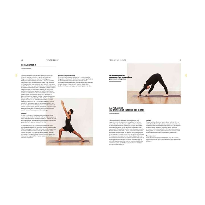 Yoga: Un Art de Vivre - FR- Imagen del producto n°1