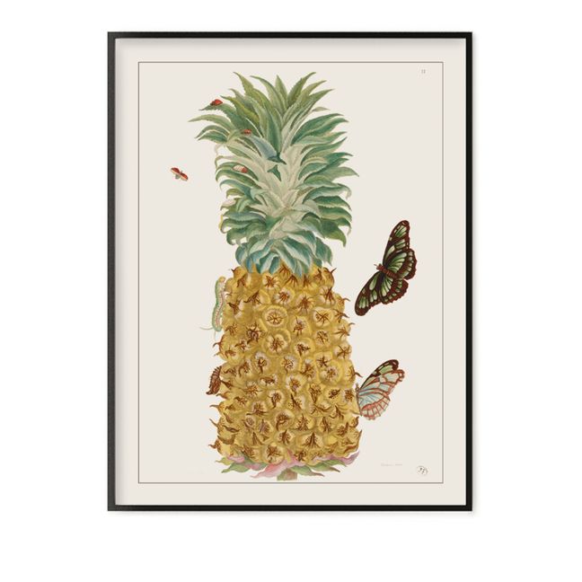 Pineapple Poster - Merian