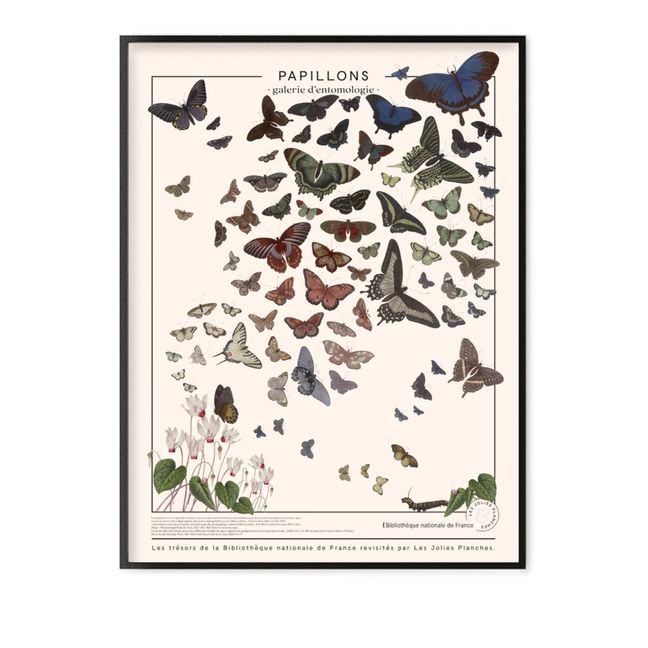 Planche les trésors de la Bibliothèque Nationale Papillons 60x80 cm