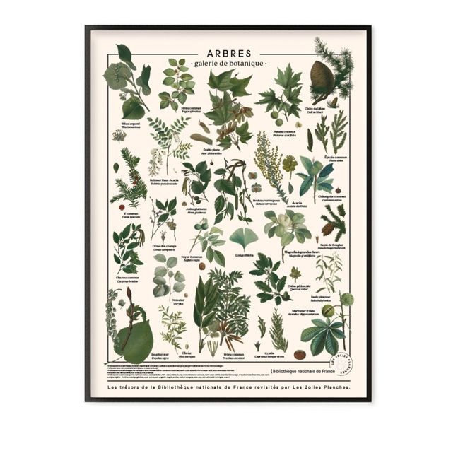 Tavola "I tesori della biblioteca nazionale": Alberi 60x80cm 