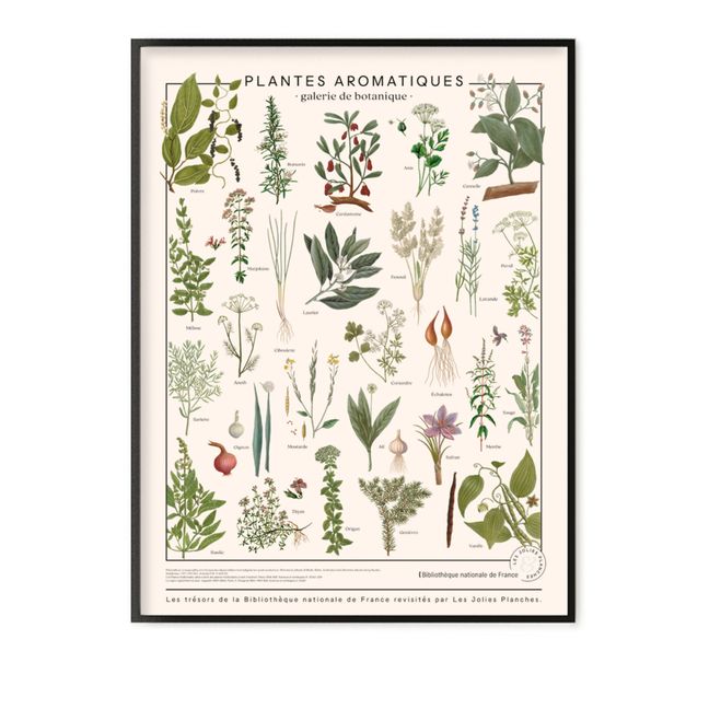 Planche les trésors de la Bibliothèque Nationale Herbes aromatiques 60x80 cm