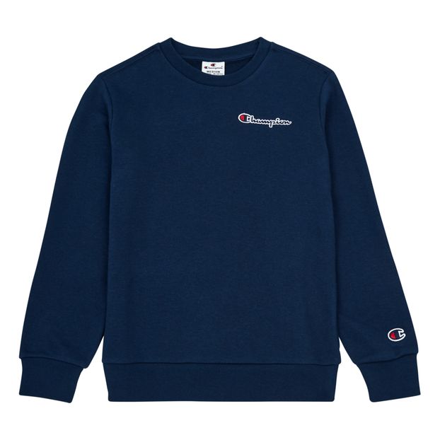 blue grey champion sweatshirt