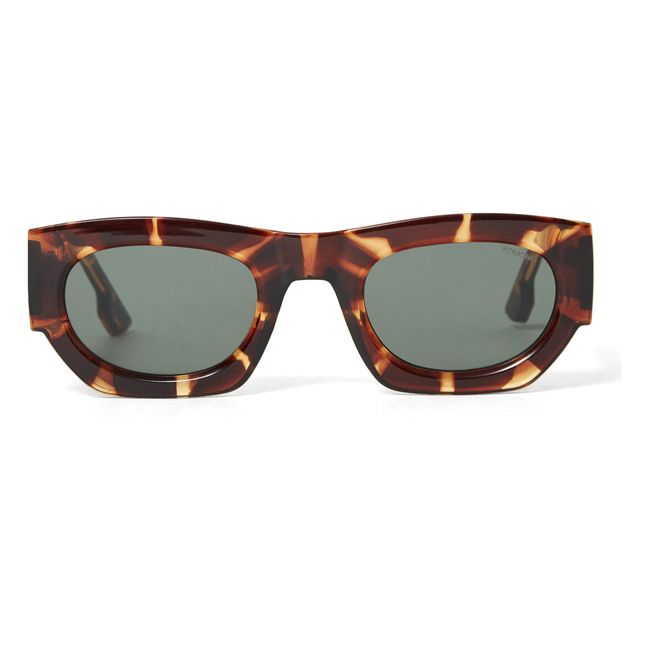 Alpha Sunglasses - Adult Collection  | Brown