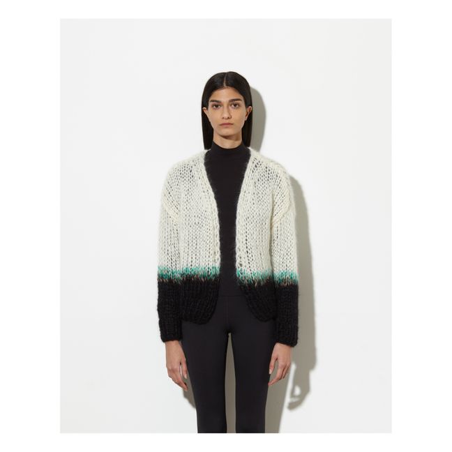 Small V-Neck Mohair and Wool Small Cardigan Ecru