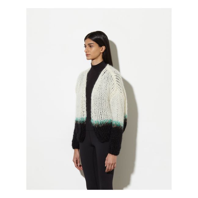 Small V-Neck Mohair and Wool Small Cardigan | Ecru