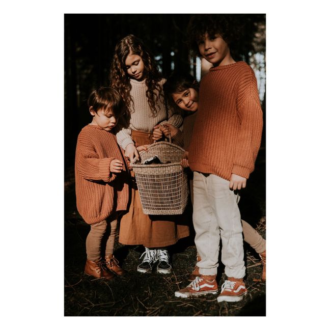 Pull Chunky Coton Bio | Terracotta