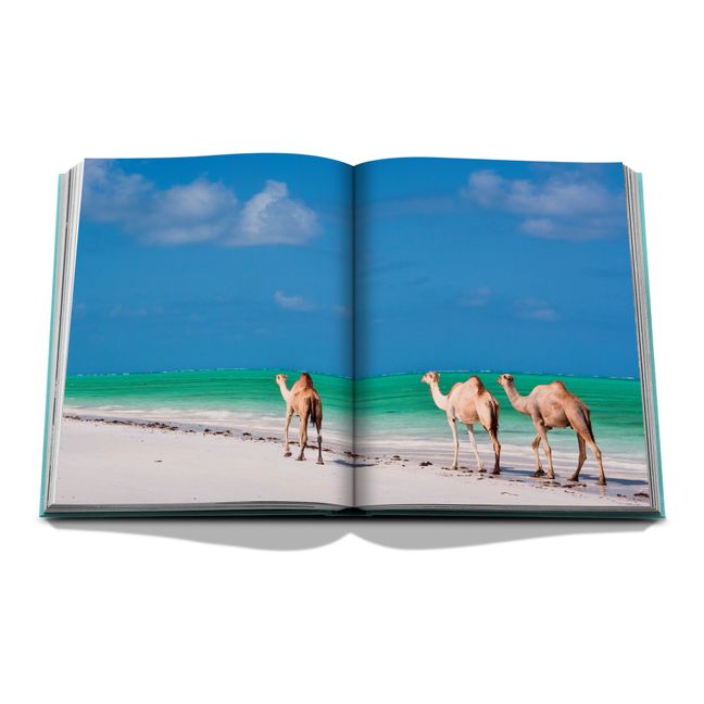 Red Sea: Saudi-Arabien