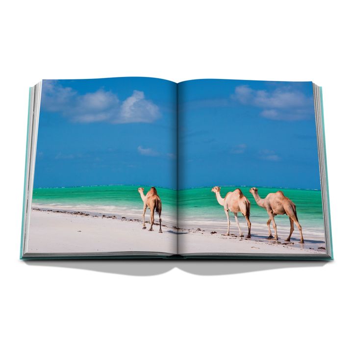 Red Sea:Arabia Saudita- Immagine del prodotto n°1