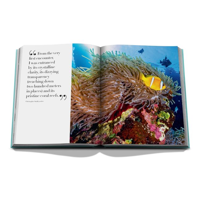 Red Sea: Saudi-Arabien