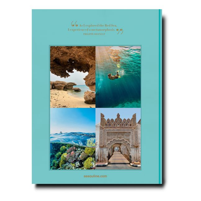 Red Sea : Arabie Saoudite