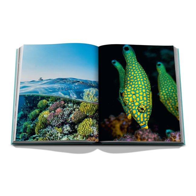 Red Sea : Arabie Saoudite