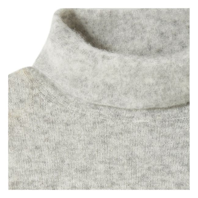 Pull Col Roulé Razpark Laine | Gris clair