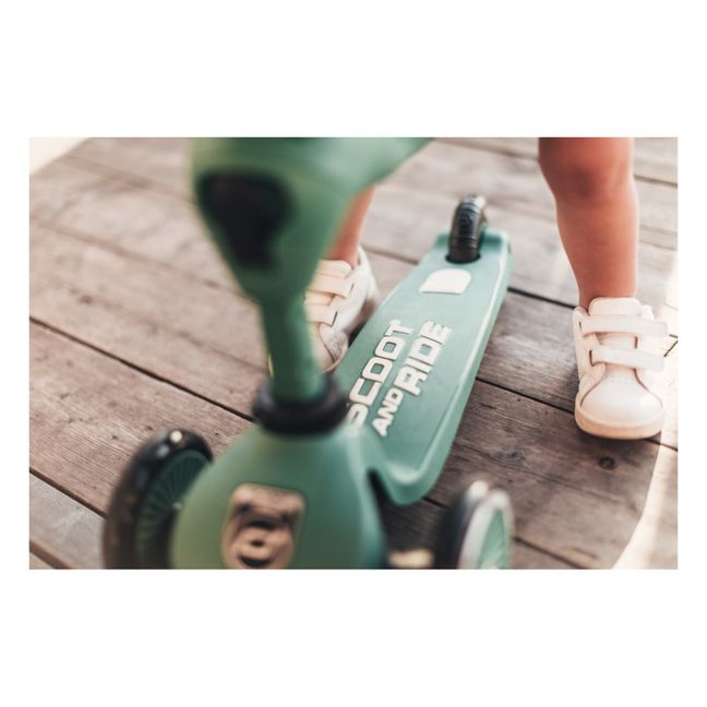 Roller 2 in 1 | Chromgrün
