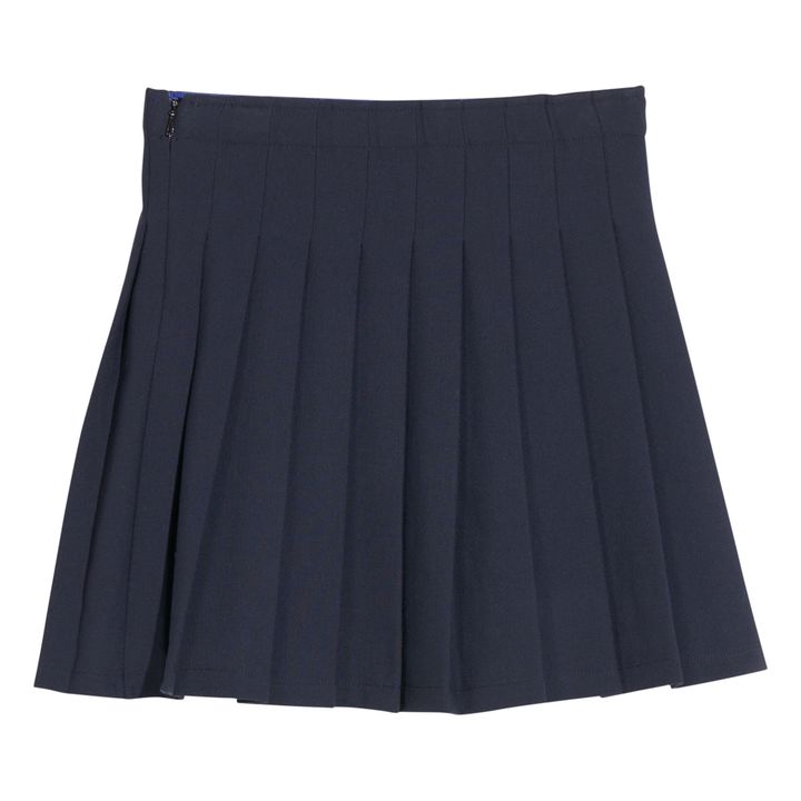 Asra Skirt | Navy blue- Product image n°0