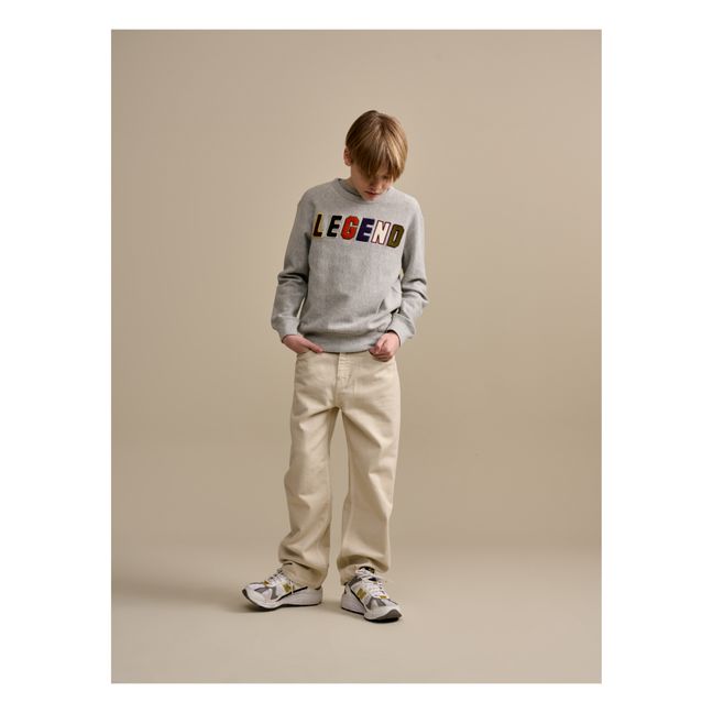 Fago Sweatshirt | Grau