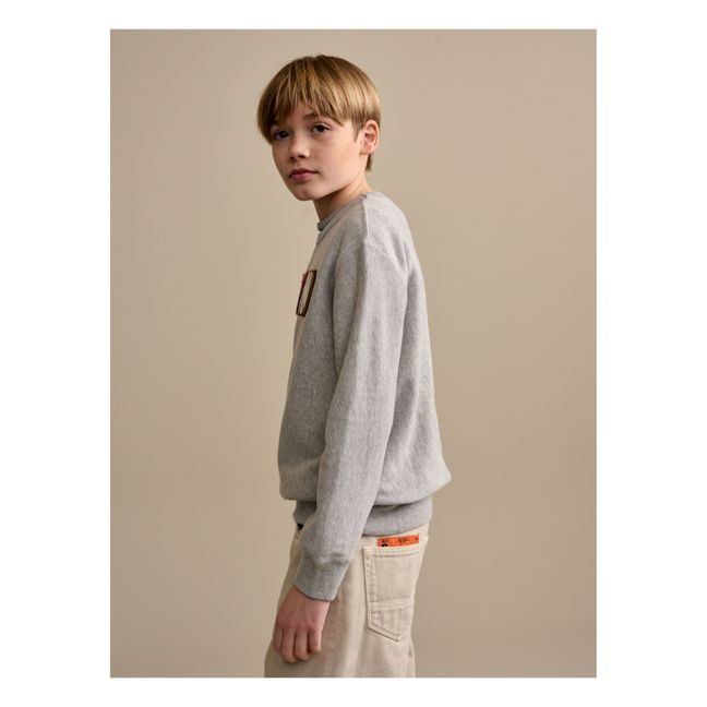 Fago Sweatshirt | Grau