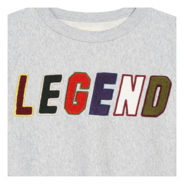 Fago Sweatshirt | Grau