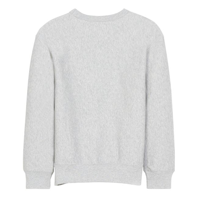 Fago Sweatshirt | Grau