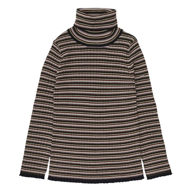 Striped Merino Wool Turtleneck Marrone