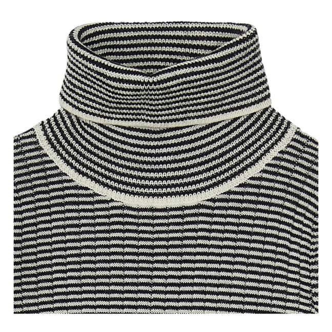 Striped Merino Wool Turtleneck Navy blue