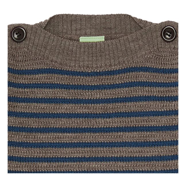 Striped Merino Wool Jumper | Brown
