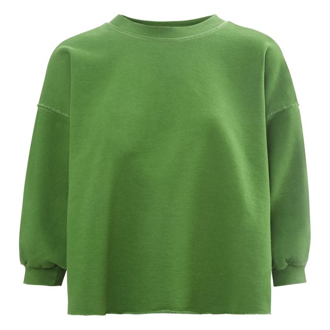 Fond Sweatshirt | Verde scuro