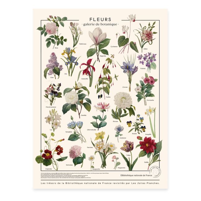 Treasures of the BNF Flower Poster