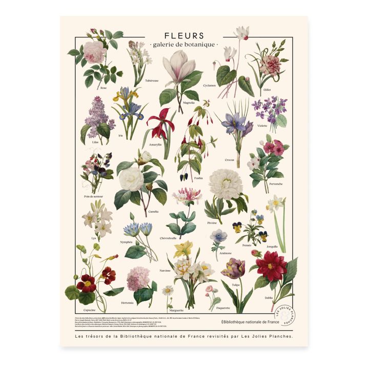 Treasures of the BNF Flower Poster- Imagen del producto n°0