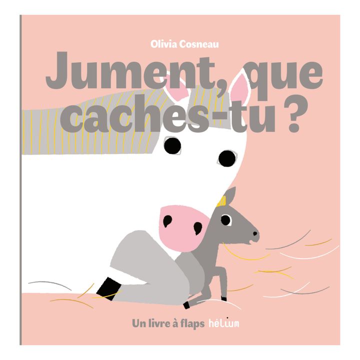 Libro Jument, que caches-tu ? Olivia Cosneau- Imagen del producto n°0