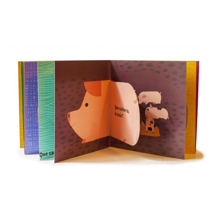 Libro Jument, que caches-tu ? Olivia Cosneau- Imagen del producto n°2
