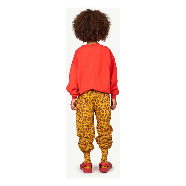Worm Socks | Naranja- Imagen del producto n°2