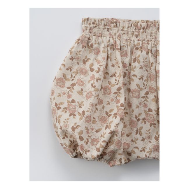 Protea Floral Bloomers | Crudo