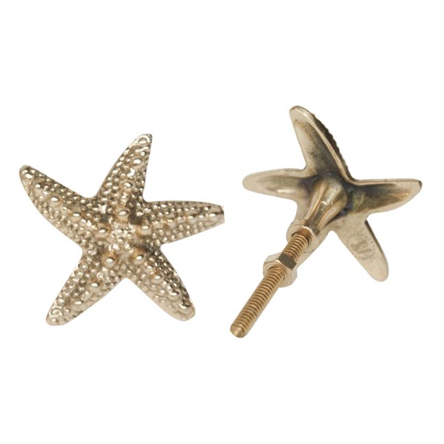 Poignée de porte en laiton Seastar Ruby | Gold