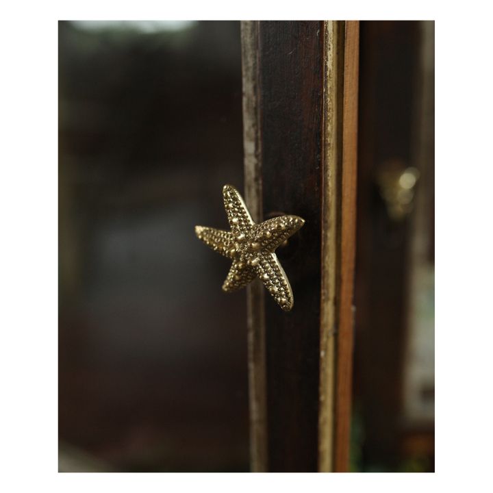 Ruby Seastar Brass Handle | Gold- Product image n°1