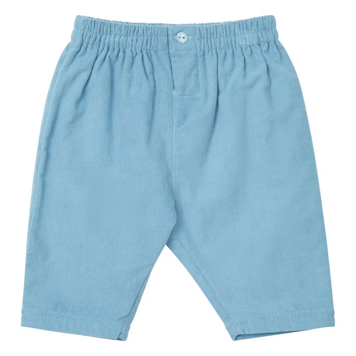 Salix Corduroy Trousers | Azul- Imagen del producto n°0