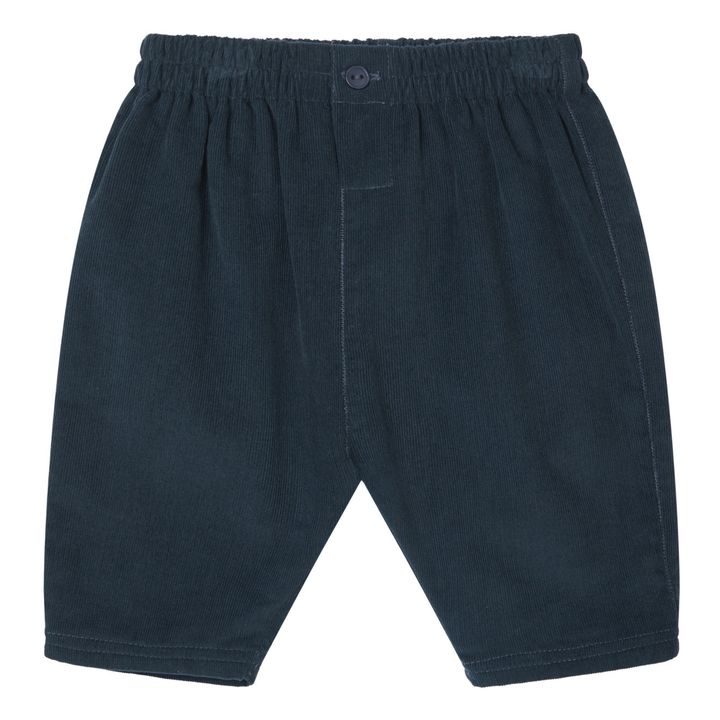 Salix Corduroy Trousers | Navy- Produktbild Nr. 0