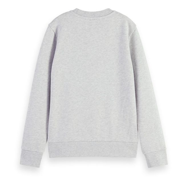 Felpa in cotone bio | Grigio