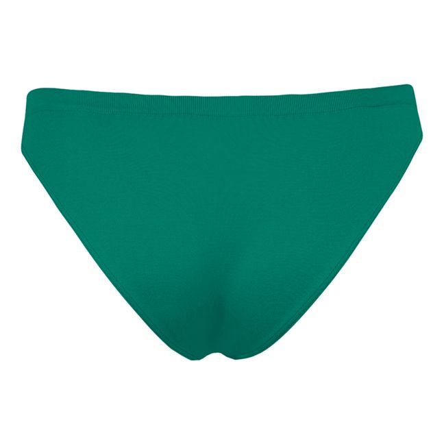 Evolve Briefs | Verde