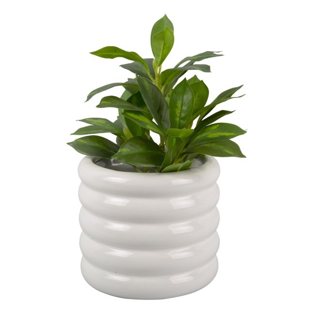 Bobby Ceramic Planter Pot | White