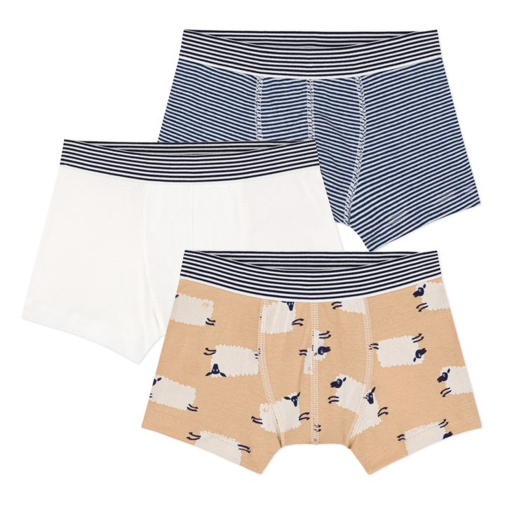 Organic Cotton Sheep Briefs - Set of 3 | Beige- Product image n°0