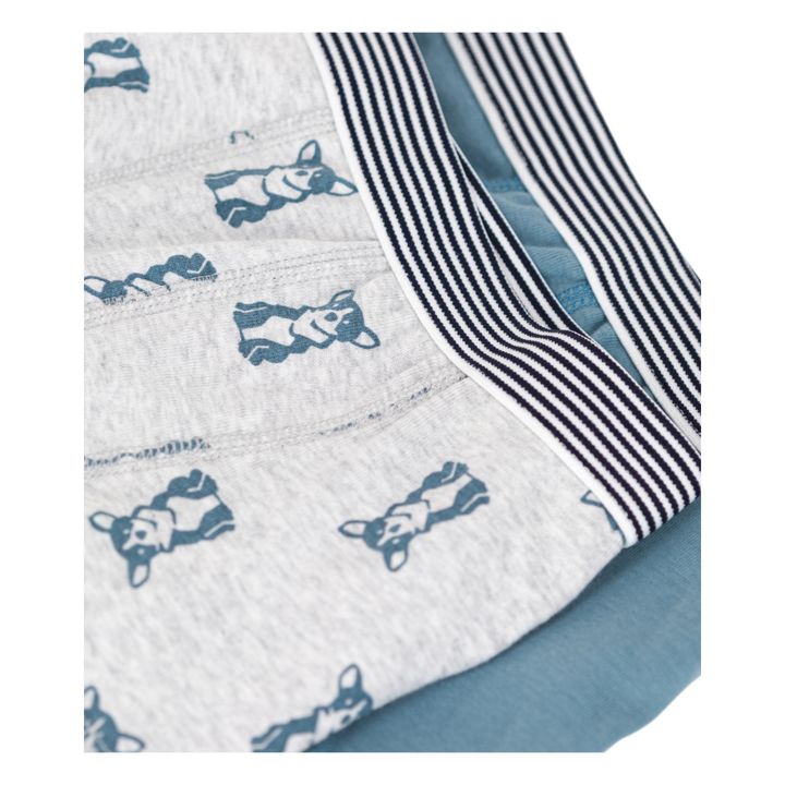 Organic Cotton Dog Briefs - Set of 2 | Azul Gris- Imagen del producto n°1