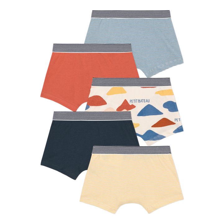 Organic Cotton Cloud Briefs - Set of 5 Rust- Product image n°2