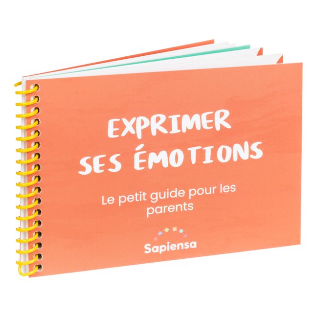 Cajita J'exprime mes émotions (Expreso mis emociones)